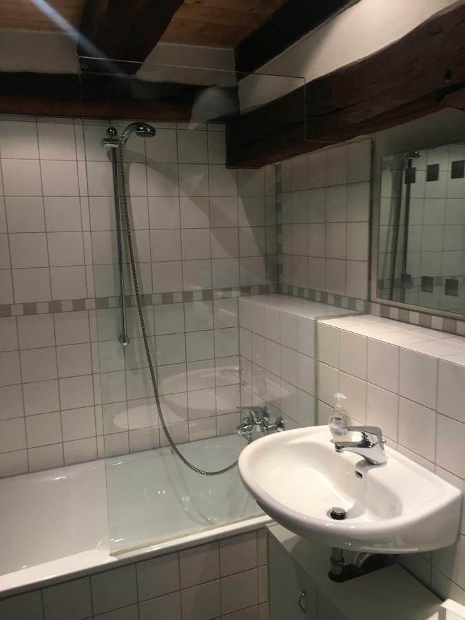Kaiserslautern Apartment Экстерьер фото