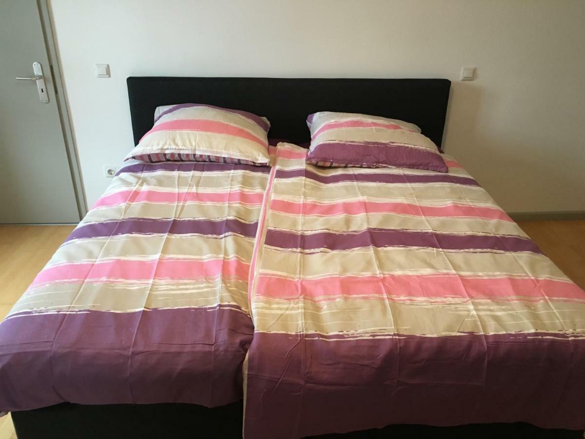 Kaiserslautern Apartment Экстерьер фото