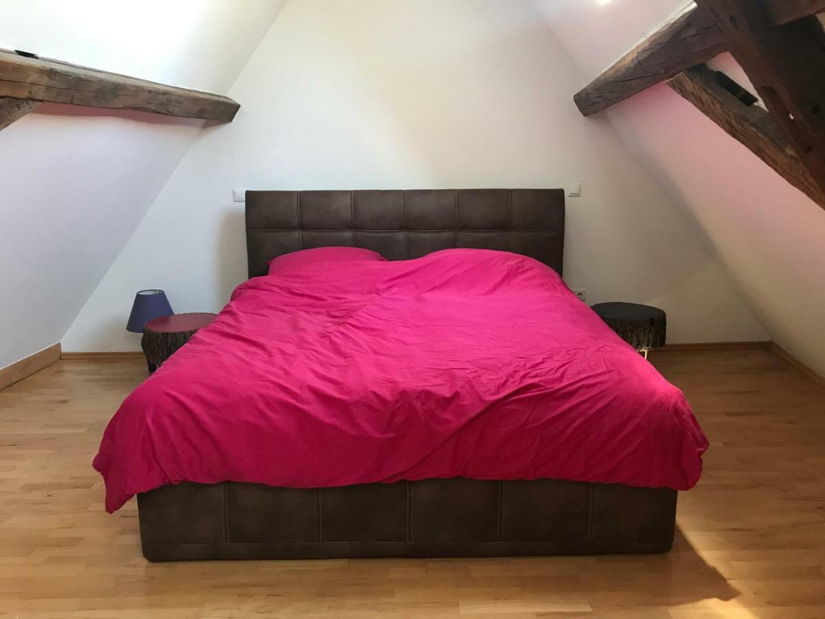Kaiserslautern Apartment Экстерьер фото
